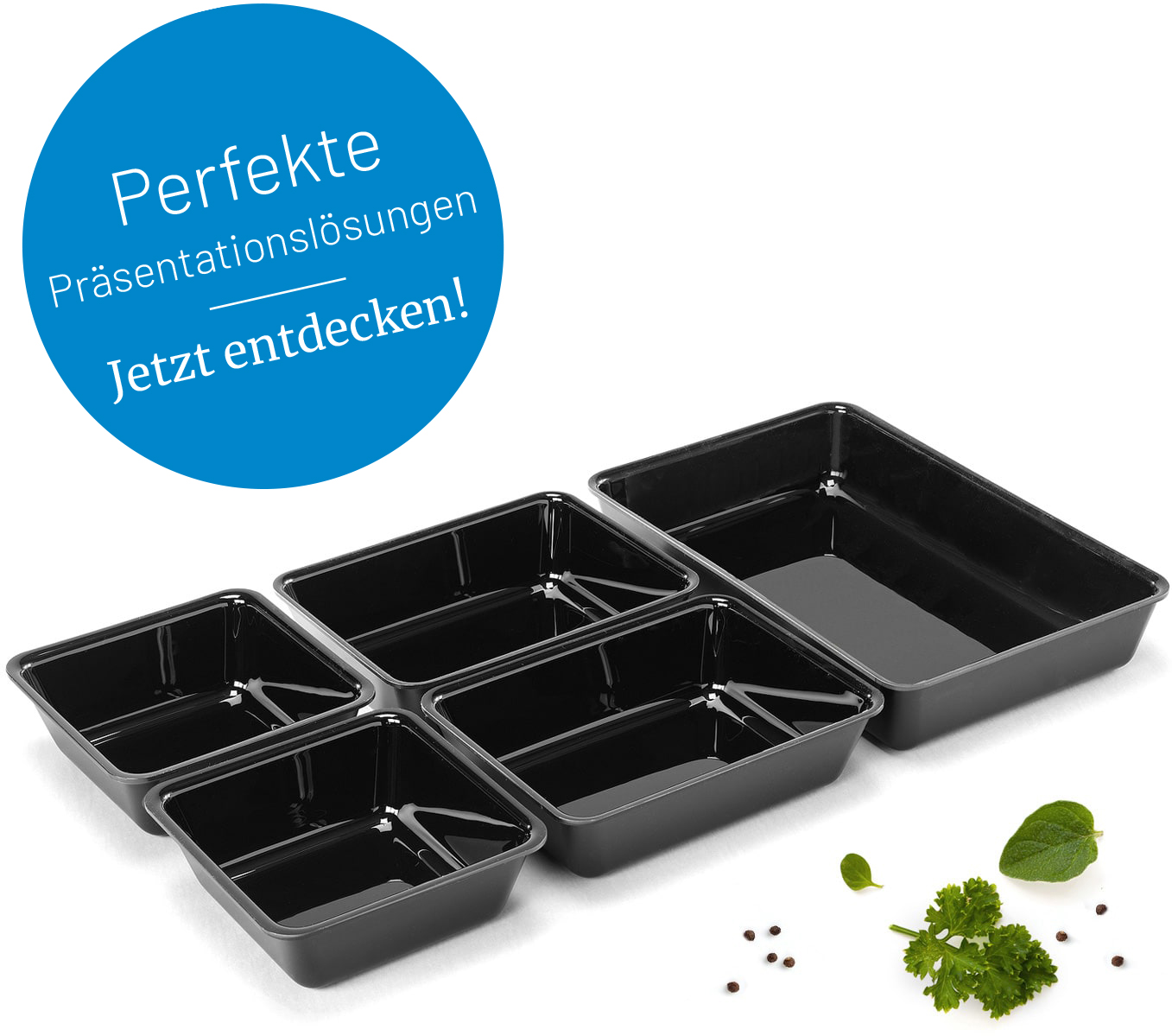 6 Schalen und Logo Perfekte Präsentationslösungen